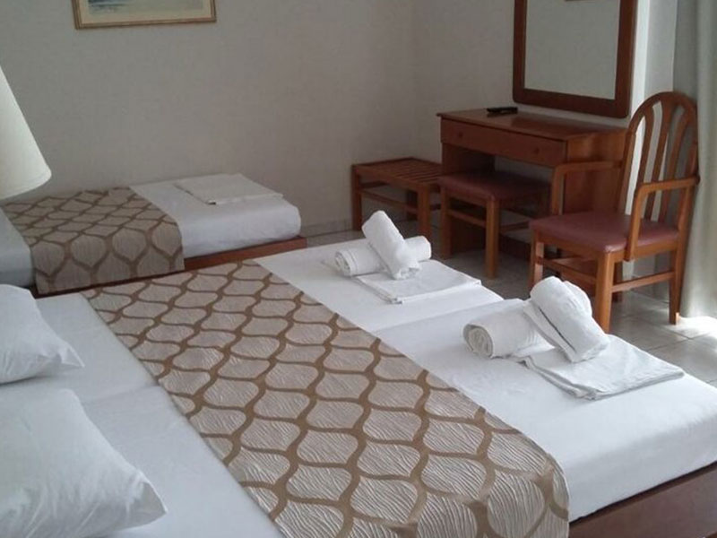 Ioni Hotel 3*