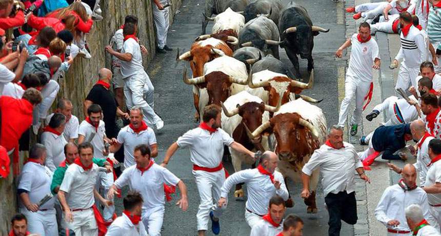 Pamplona trka sa bikovima