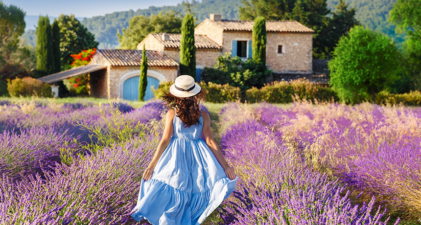 Provansa Lavanda tura