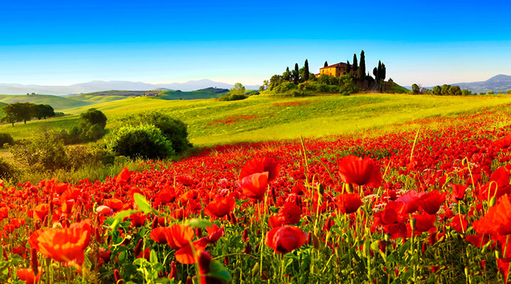 Romantična Toskana